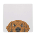 Excited Dog